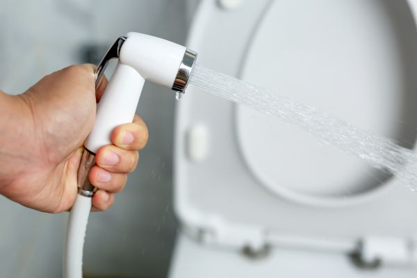 Cost of Bidet Installation in Tucson