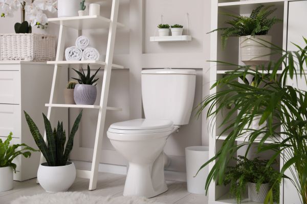 Cost of Toilet Repair in Tucson