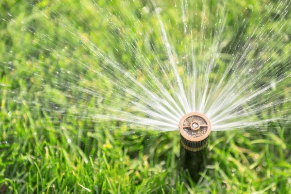 Cost of Spigot Installation in Tucson