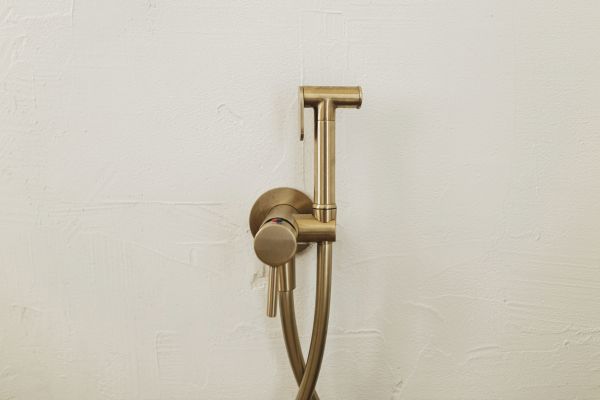 Cost of Bidet Plumbing in Tucson